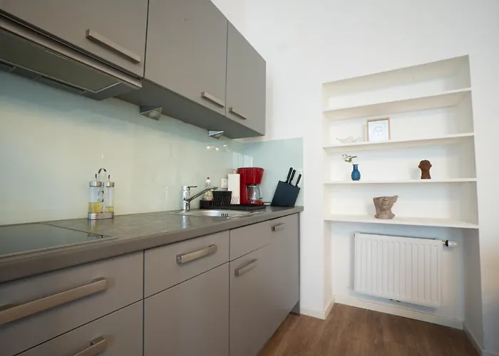 Spacious With Huge Shared Terrace And Grill Located Between Centre And Donau River
