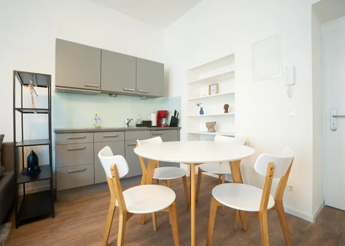 Spacious With Huge Shared Terrace And Grill Located Between Centre And Donau River *
