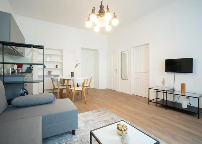 Spacious With Huge Shared Terrace And Grill Located Between Centre And Donau River
